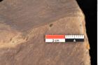 Foto (Detailsansicht) von Quercus palaeoilex Ettingshausen (NHMW-GEO-2024-0188-0927)